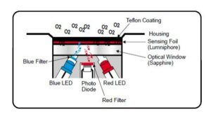 Screenshot 2025 05 15 152407