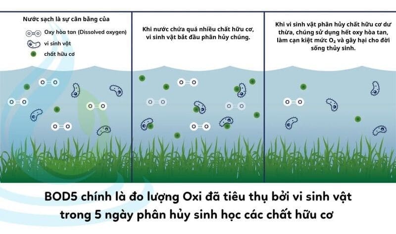 bod là gì môi trường
