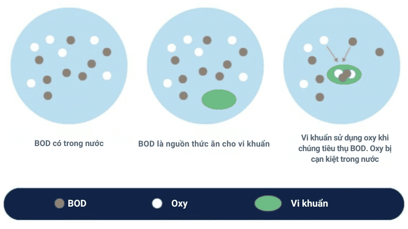 bod là gì môi trường