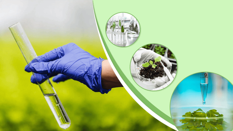 các phương pháp quan trắc môi trường