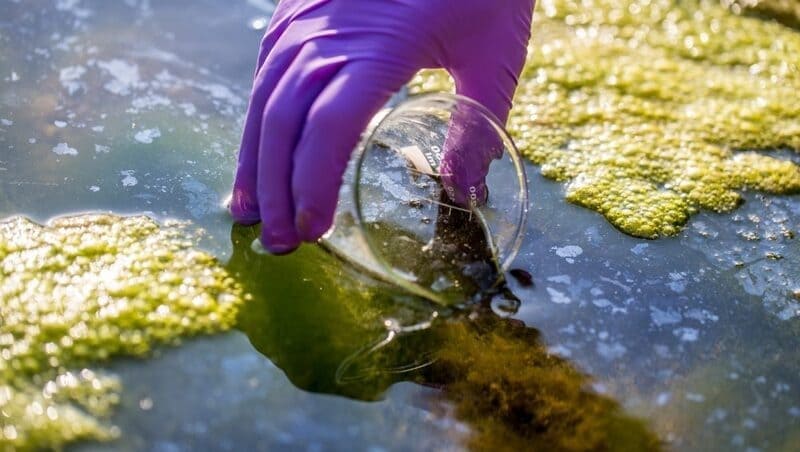 cod trong nước thải là gì