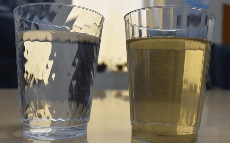 độ đục của nước