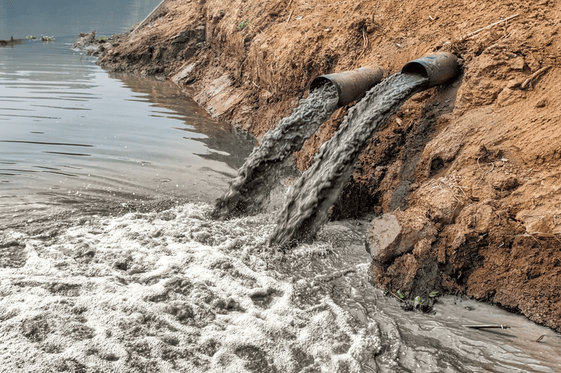 độ đục của nước