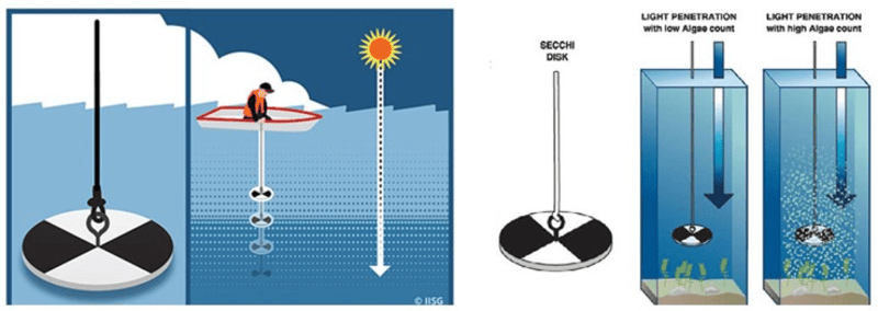 độ đục của nước