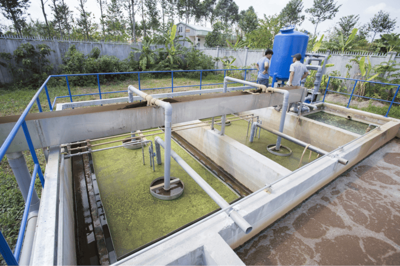 Nước thải sinh hoạt