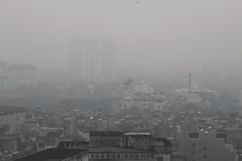 Sương mù quang hoá là gì? Vì sao hình thành? 5 Sương mù quang hoá