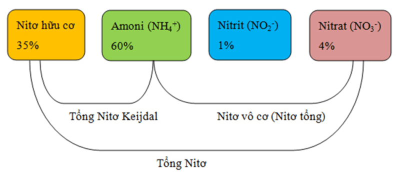 Tổng nitơ trong nước thải