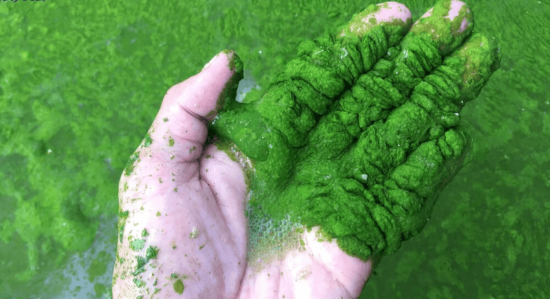 Tổng nitơ trong nước thải